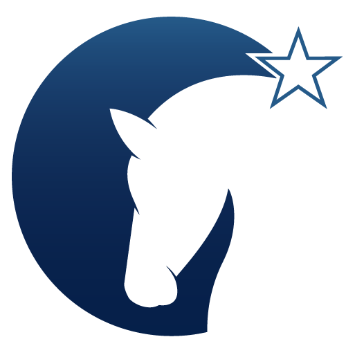 Shooting Star Psychology & Equine Therapy Logo